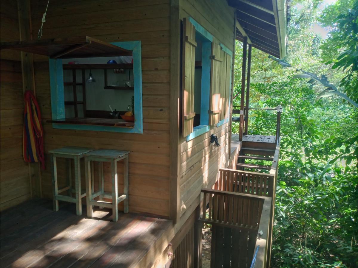 Jungle Paunch Villa Bocas Town Bagian luar foto