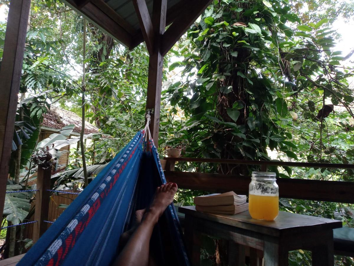 Jungle Paunch Villa Bocas Town Bagian luar foto