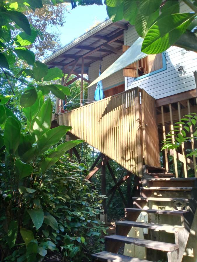 Jungle Paunch Villa Bocas Town Bagian luar foto