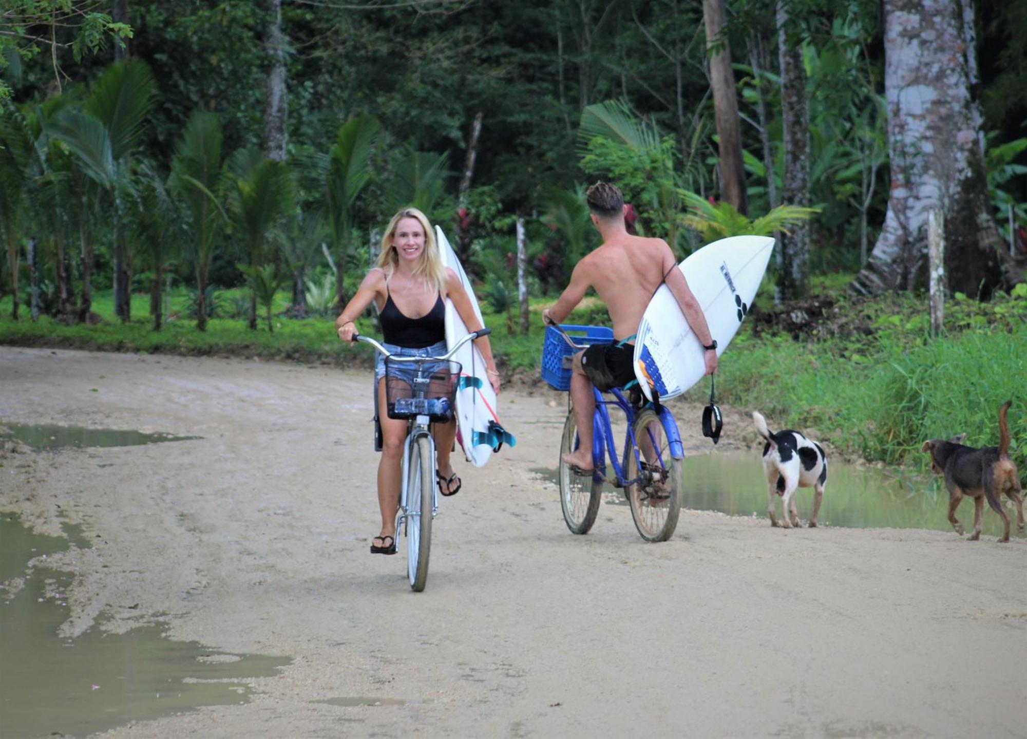 Jungle Paunch Villa Bocas Town Bagian luar foto